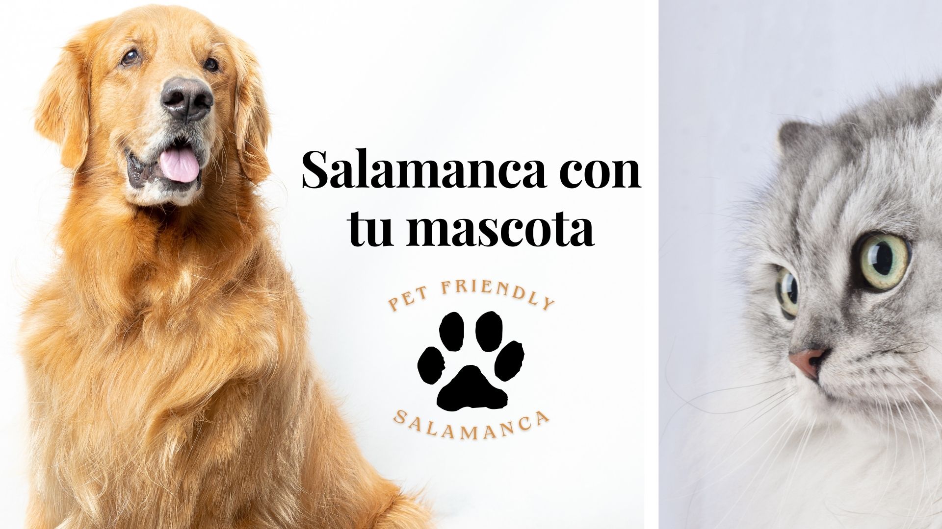Salamanca con tu mascota