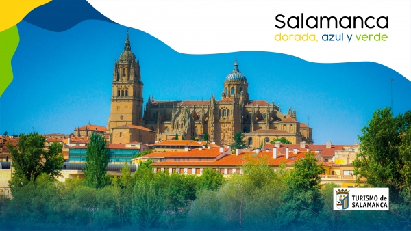 Salamanca dorada, azul y verde. Actividades verano 2021