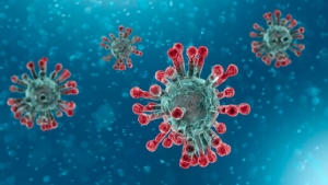 Situación Coronavirus