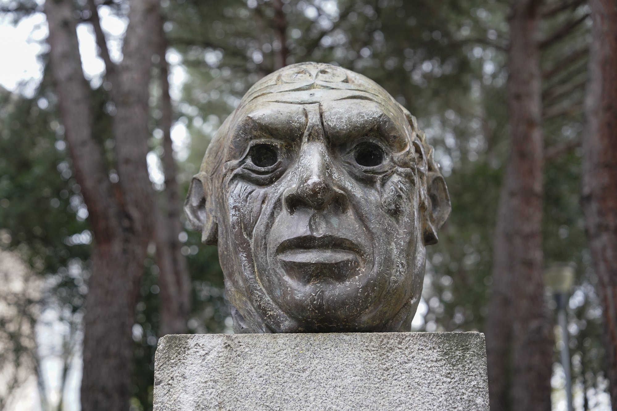Picasso (3)