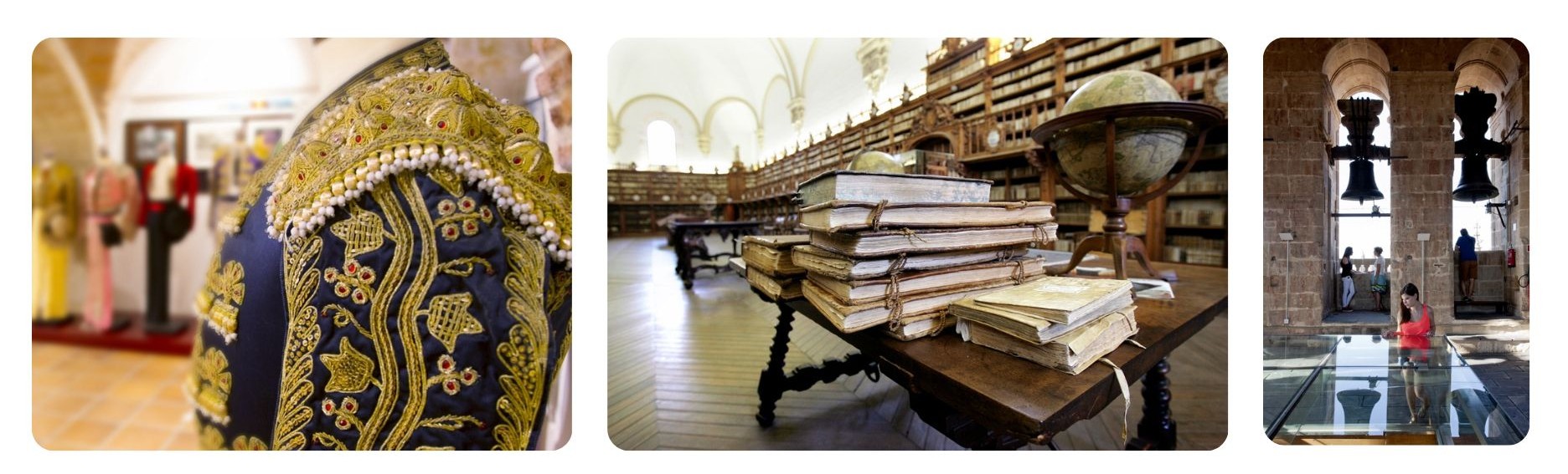 museos y colecciones