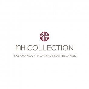 Hôtel NH Collection Palacio de Castellanos ****