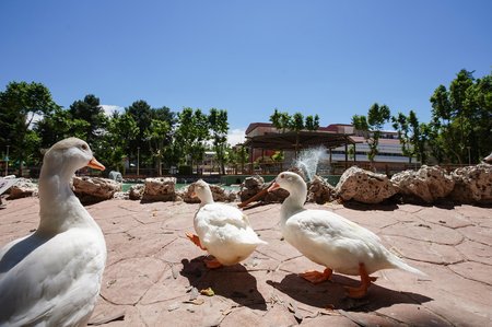 PARC DE LA ALAMEDILLA